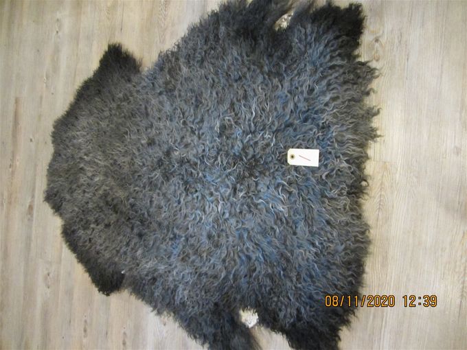 Langhåret gotlænder  95x75   Pris 1000 kr.