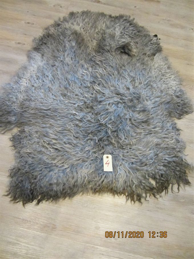 Langhåret gotlænder  106x80  Pris 1500 kr-